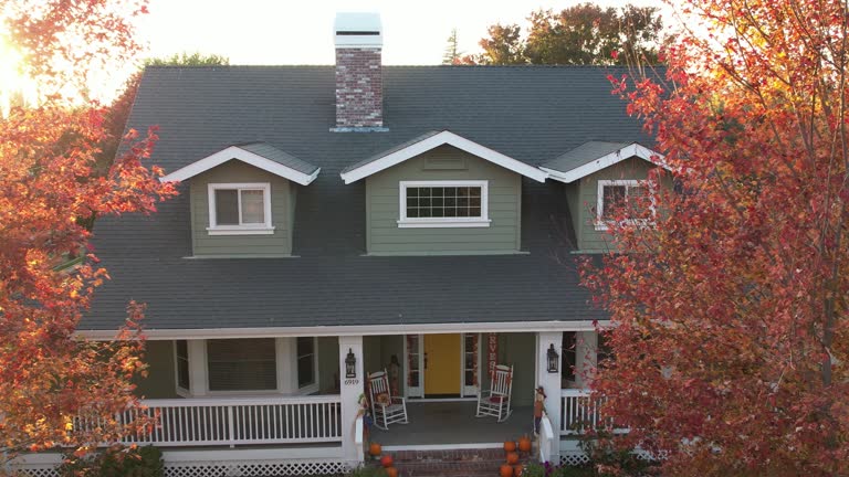 Best Slate Roofing  in Pinellas Park, FL